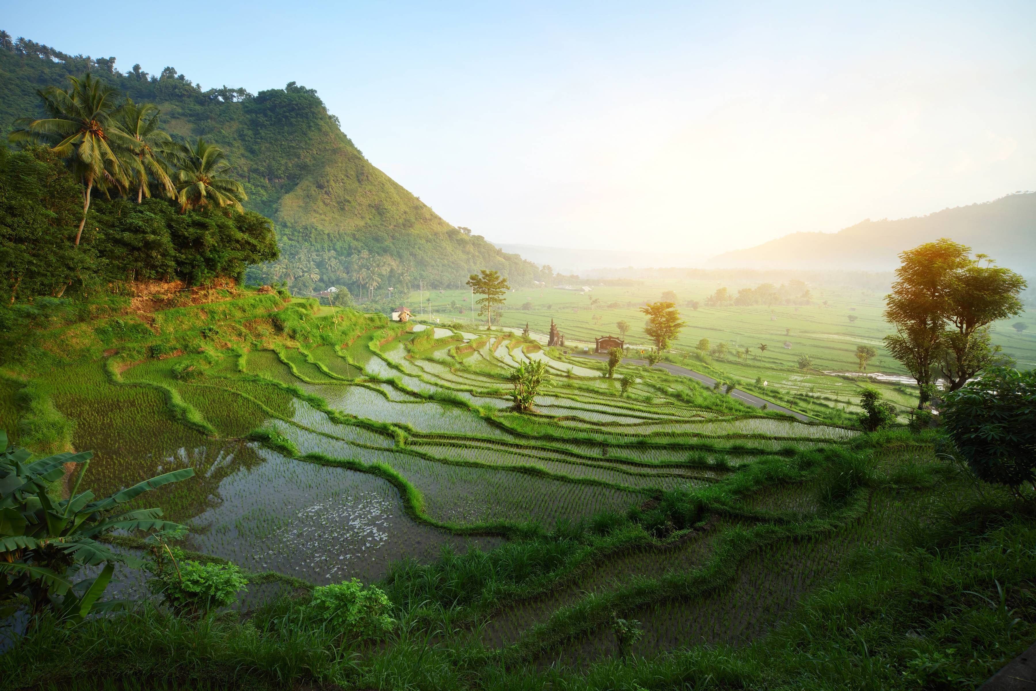 Travel Deeper On Land
