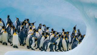 Antarctica